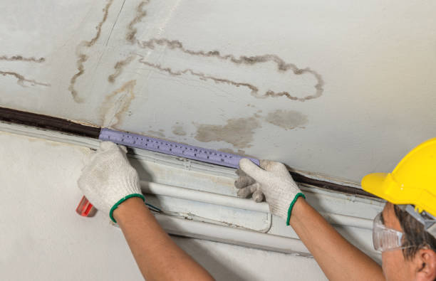 Reliable Basement Water Removal contractor in Hackettstown, NJ by Water Damage Irwin